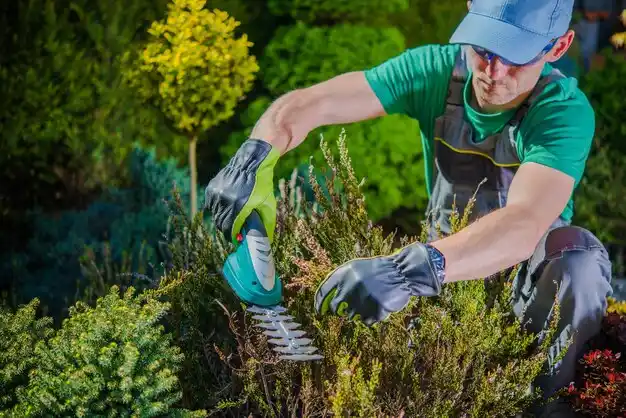 landscaping services Westlake